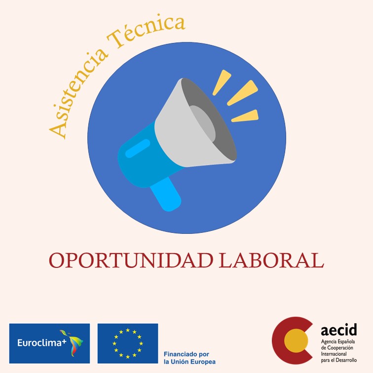 Contratación de una asistencia técnica para la incorporación del enfoque de género en las ...