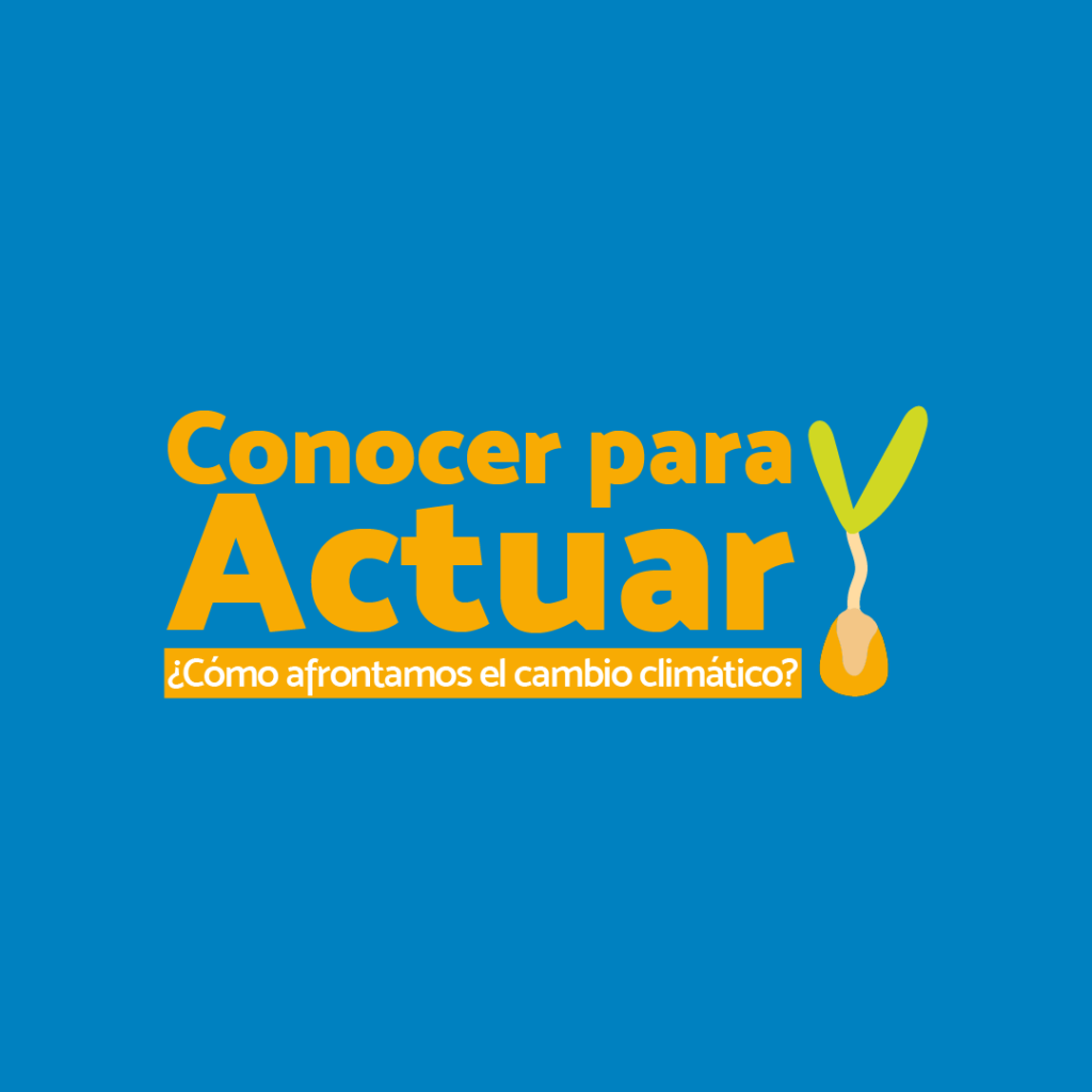 Organizaciones latinoamericanas ofrecen programa de actividades para conocer y actuar frente al ...