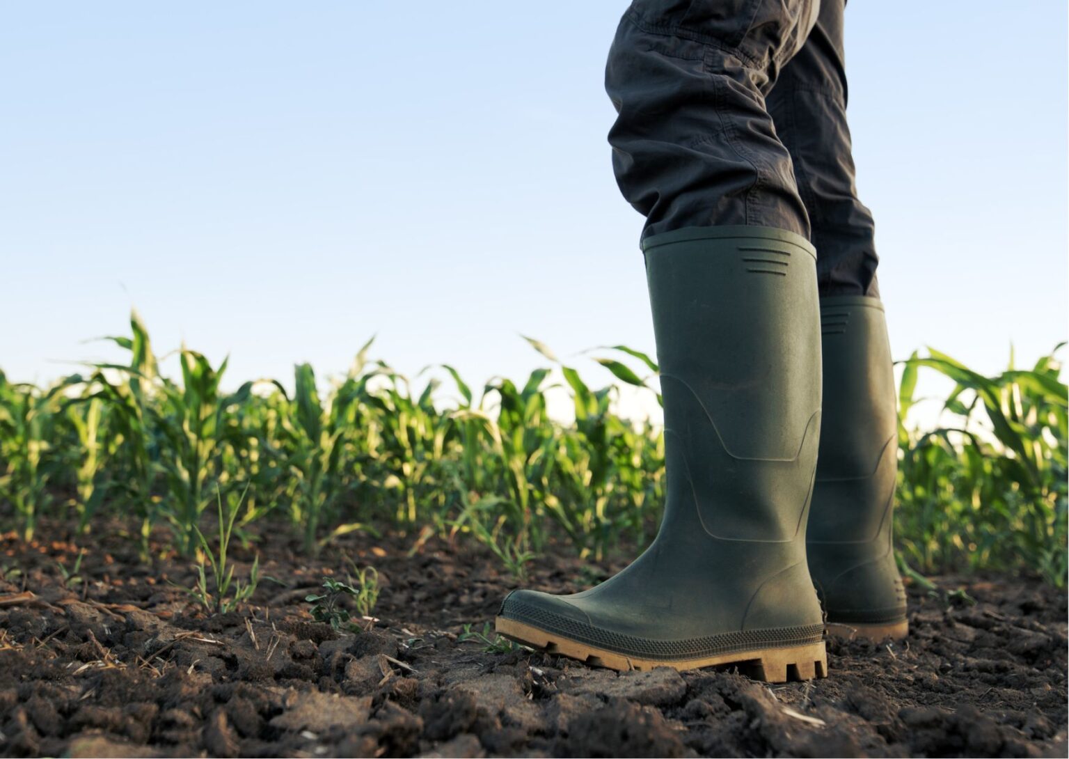 El Programa ARAUCLIMA de la Cooperación Española avanza con la aprobación de 4 nuevas ...